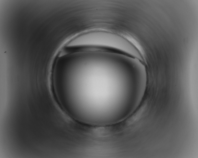 X0000093231093200710101359