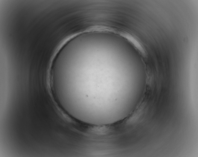 X0000093231094200710101359