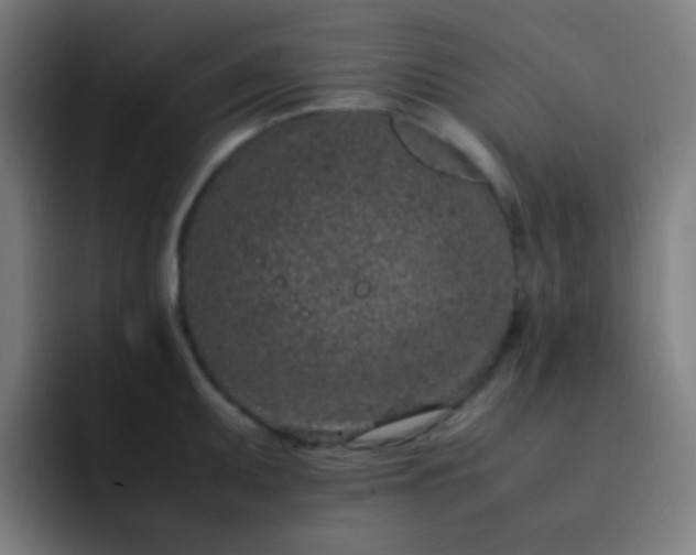 X0000093231095200710101359