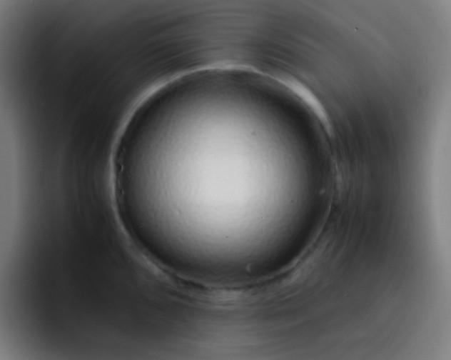 X0000093231096200710101359