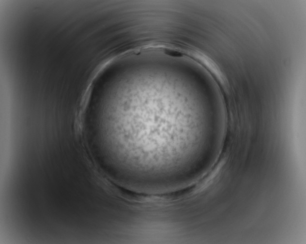 X0000093231097200710101359