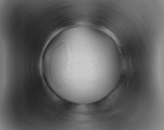 X0000093231098200710101359