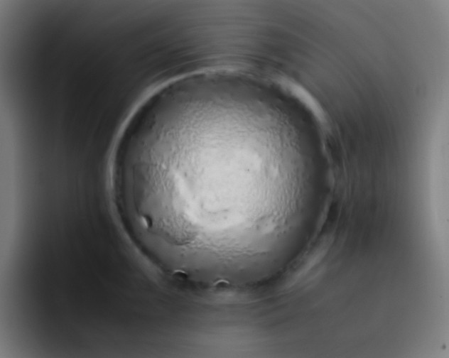 X0000093231099200710101359