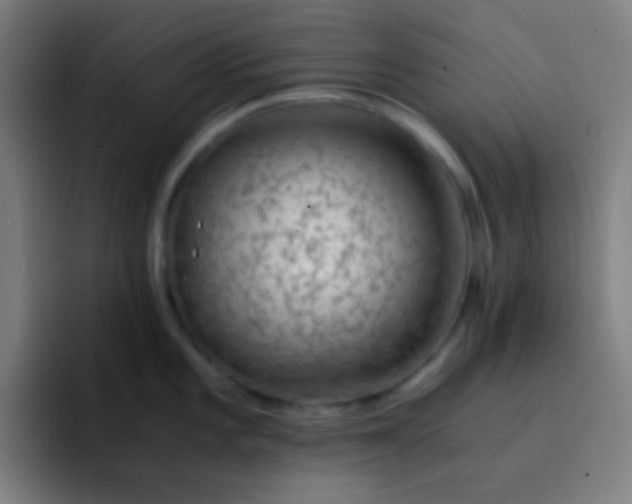 X0000093231101200710101359