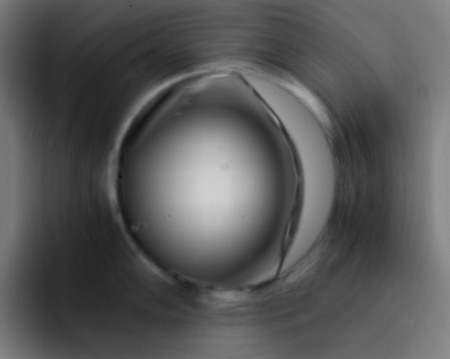 X0000093231102200710101359