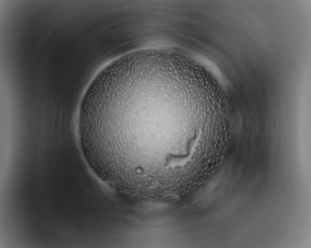 X0000093231103200710101359