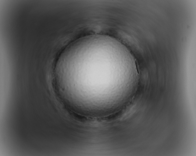 X0000093231105200710101358