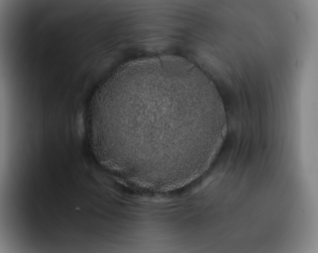 X0000093231106200710101358