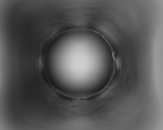 X0000093231107200710101358