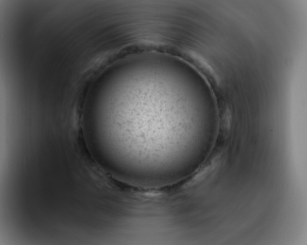 X0000093231110200710101358