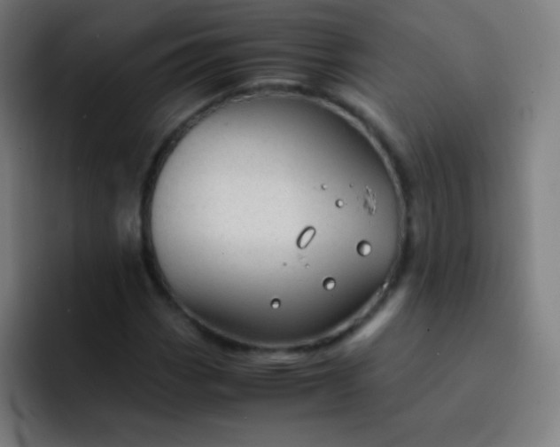 X0000093231113200710101358