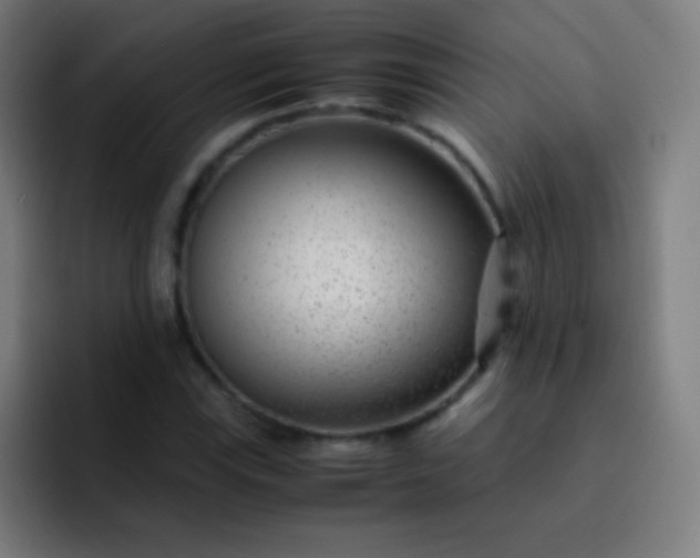 X0000093231115200710101358