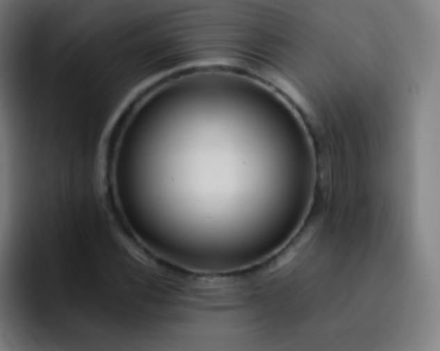 X0000093231116200710101358