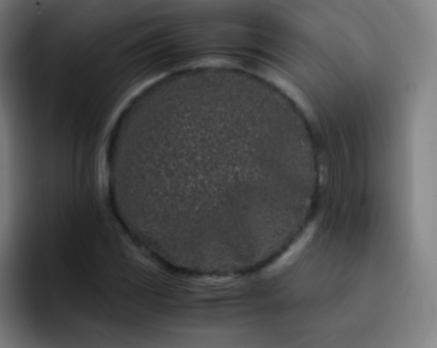 X0000093231117200710101358