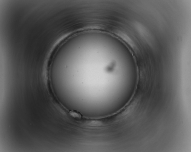 X0000093231119200710101358