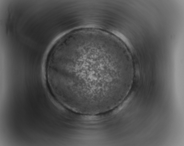 X0000093231120200710101358