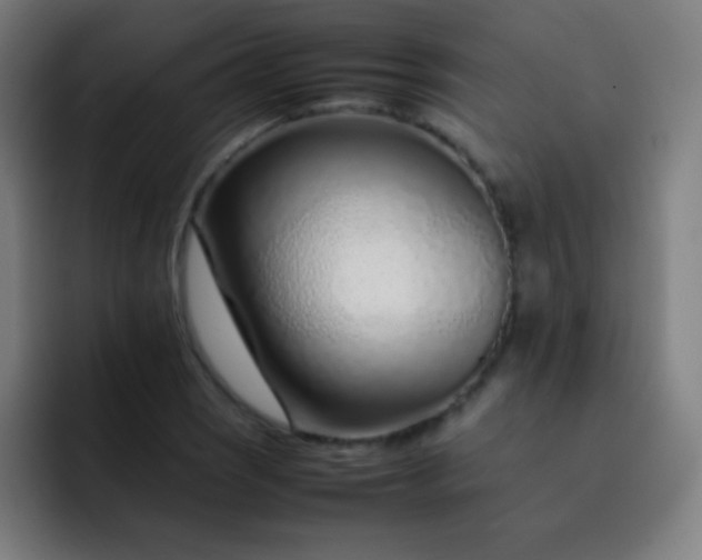 X0000093231121200710101359