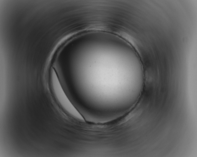 X0000093231123200710101359