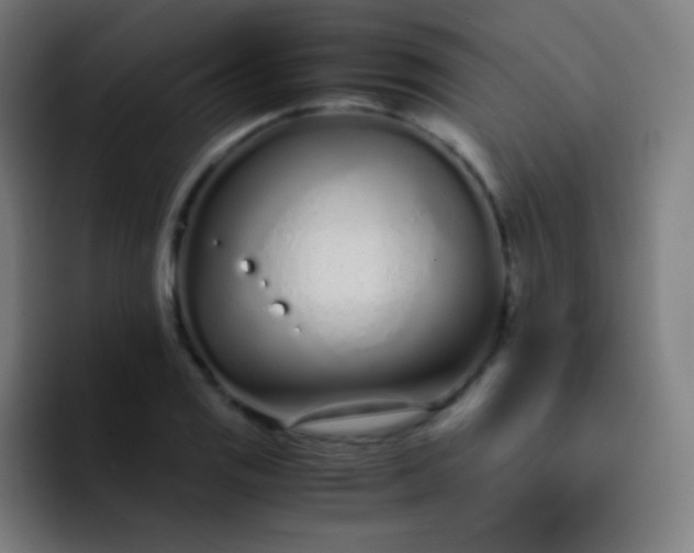 X0000093231125200710101359