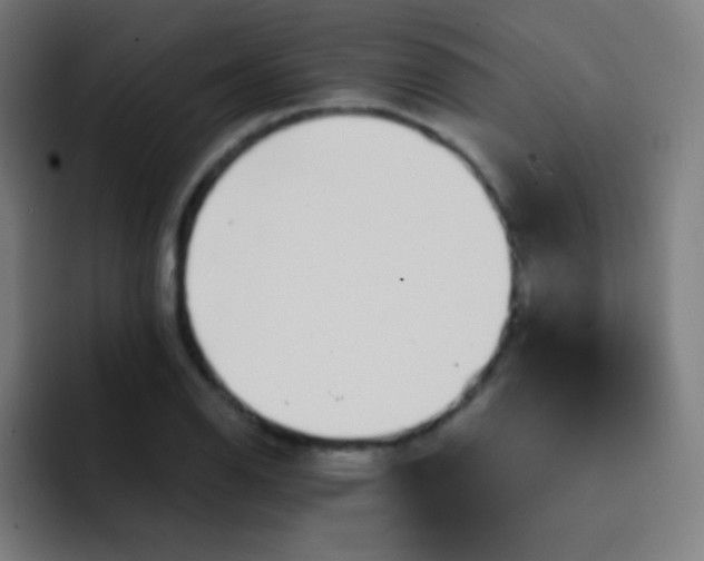 X0000093231126200710101359