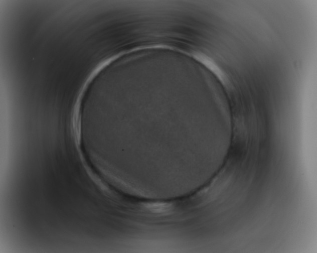 X0000093231127200710101359