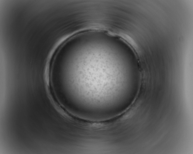 X0000093231128200710101359