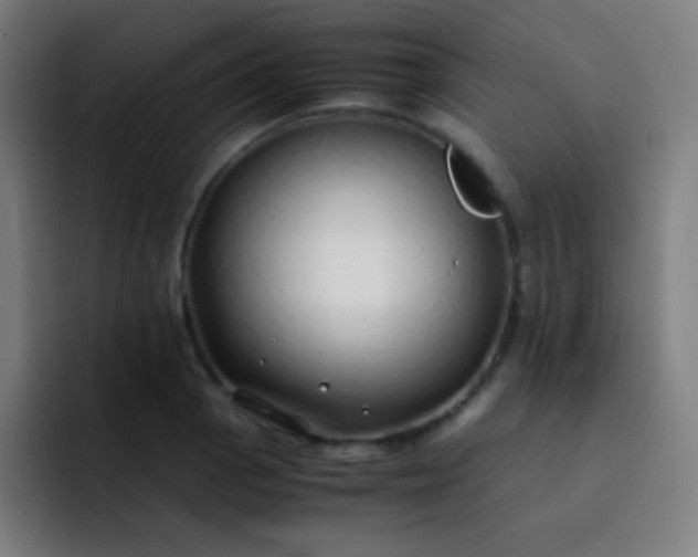 X0000093231129200710101359