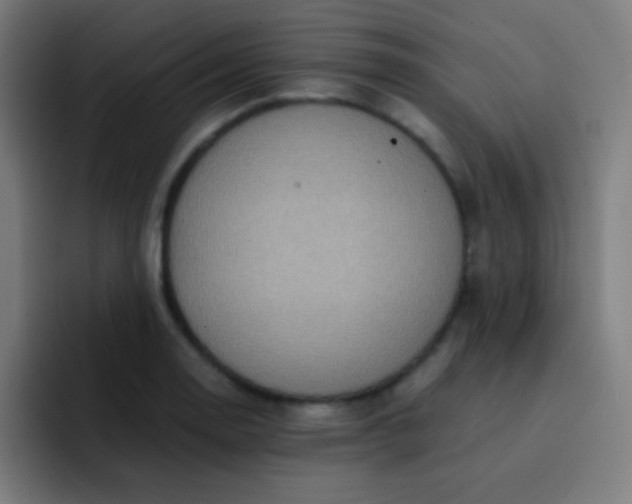 X0000093231130200710101359