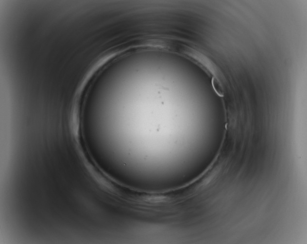 X0000093231131200710101359