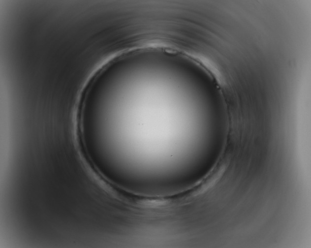 X0000093231134200710101359