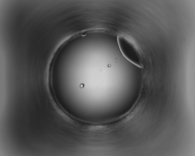 X0000093231135200710101359