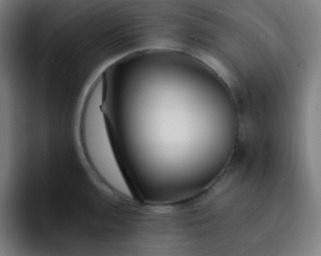 X0000093231136200710101359