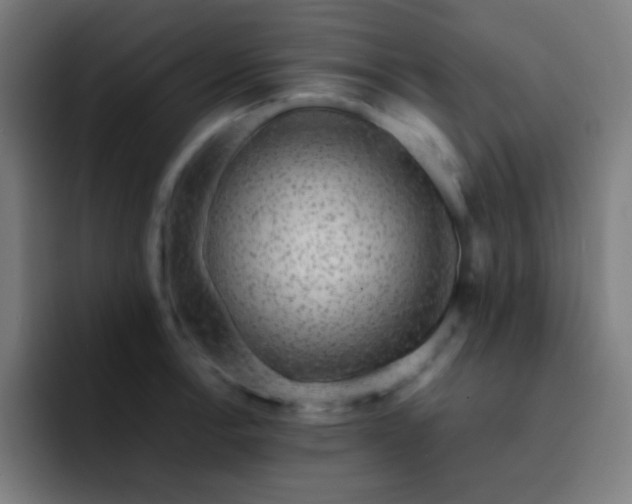 X0000093231138200710101359