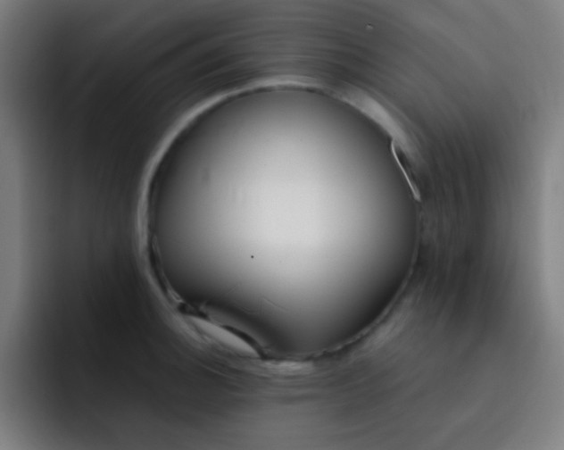 X0000093231140200710101359