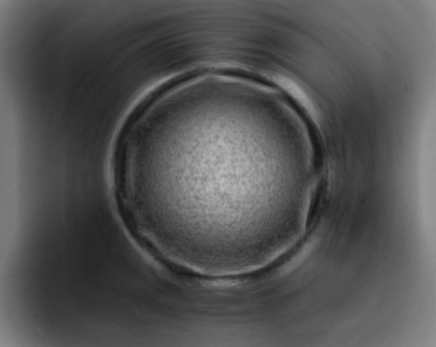 X0000093231141200710101359