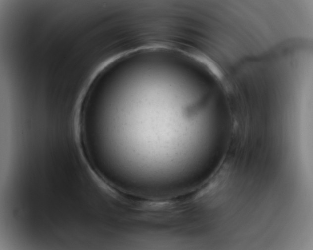 X0000093231143200710101359