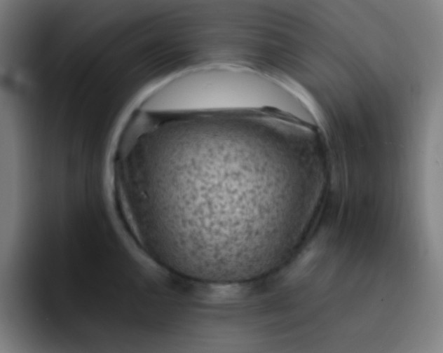 X0000093231144200710101359