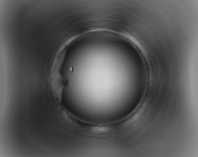 X0000093231145200710101359