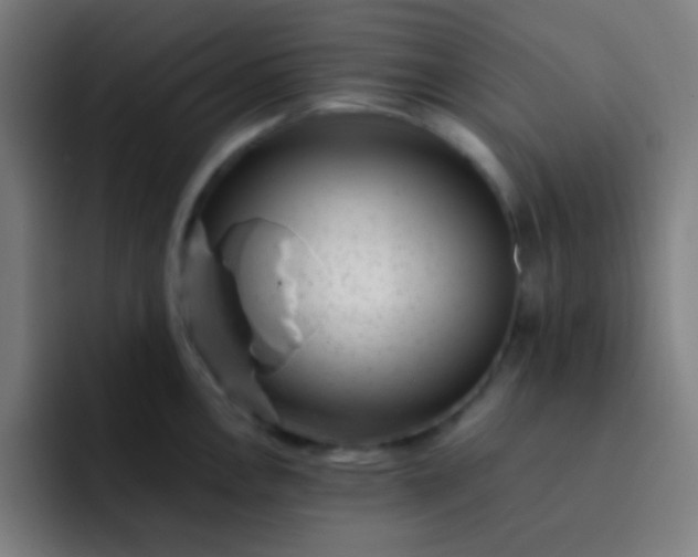 X0000093231146200710101359