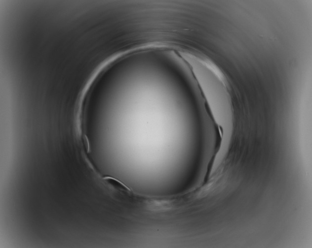 X0000093231148200710101359