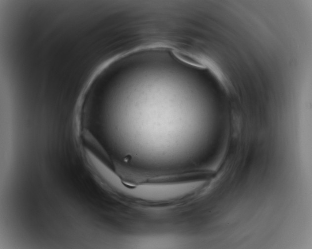 X0000093231151200710101359