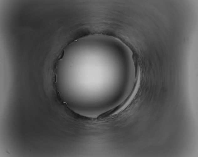 X0000093231153200710101358