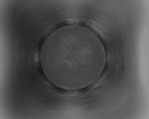 X0000093231154200710101358