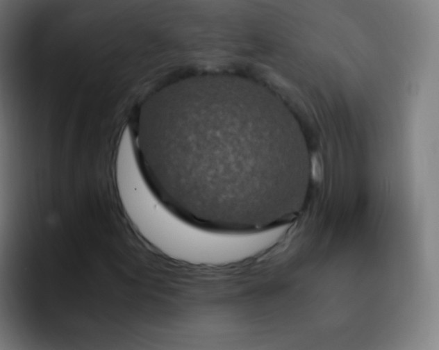 X0000093231155200710101358