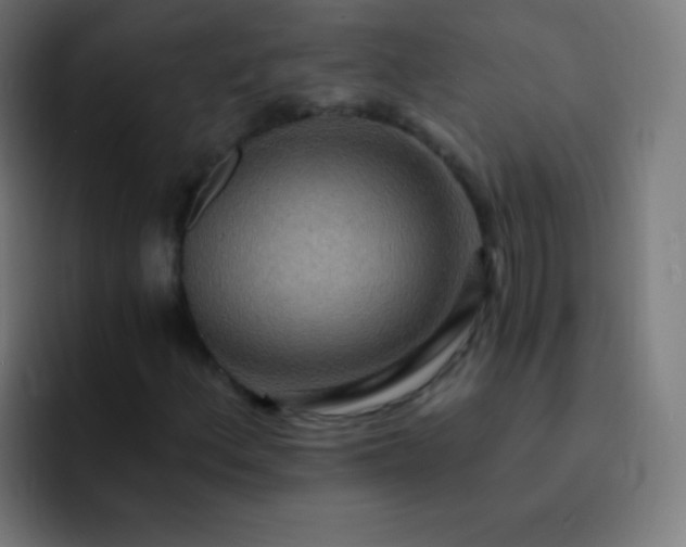 X0000093231156200710101358