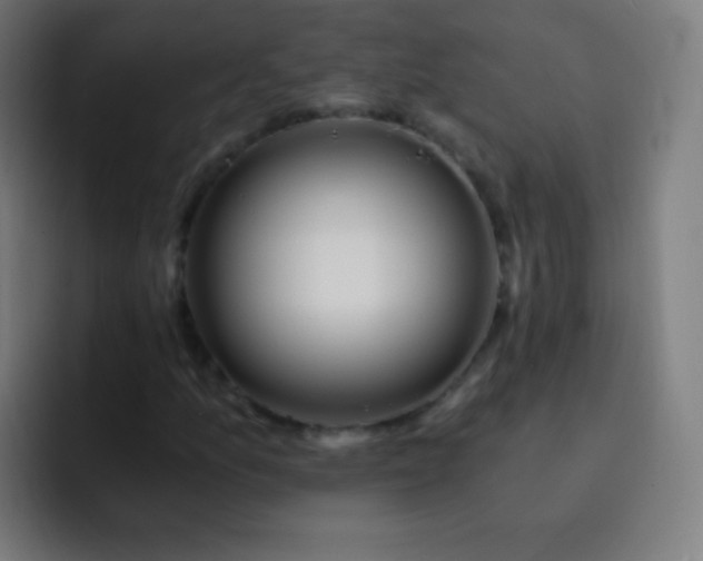 X0000093231157200710101358