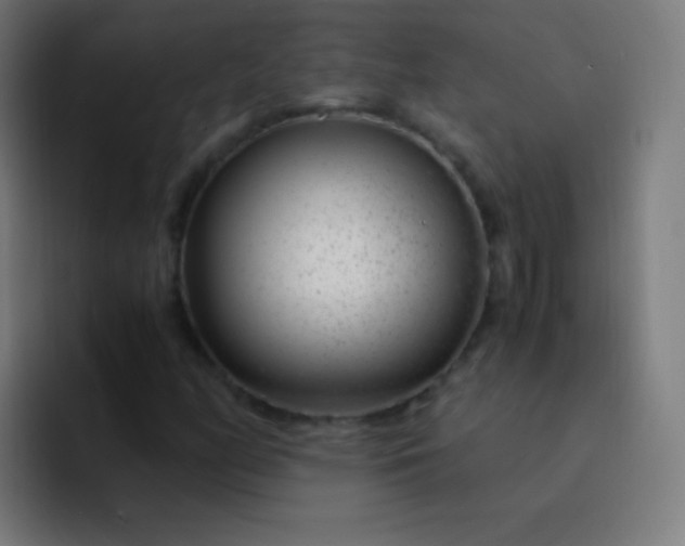 X0000093231158200710101358