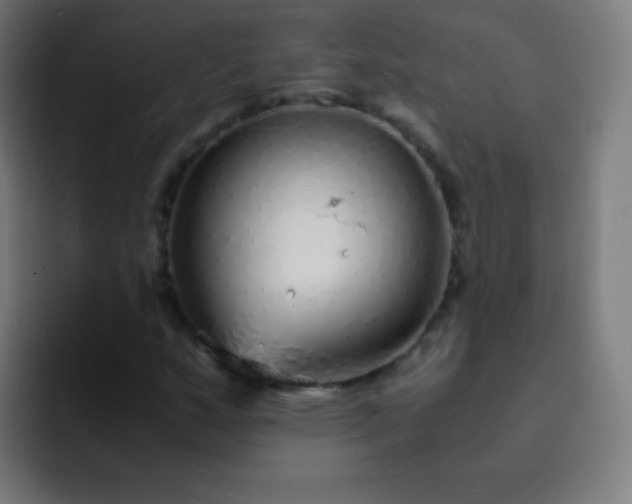 X0000093231159200710101358