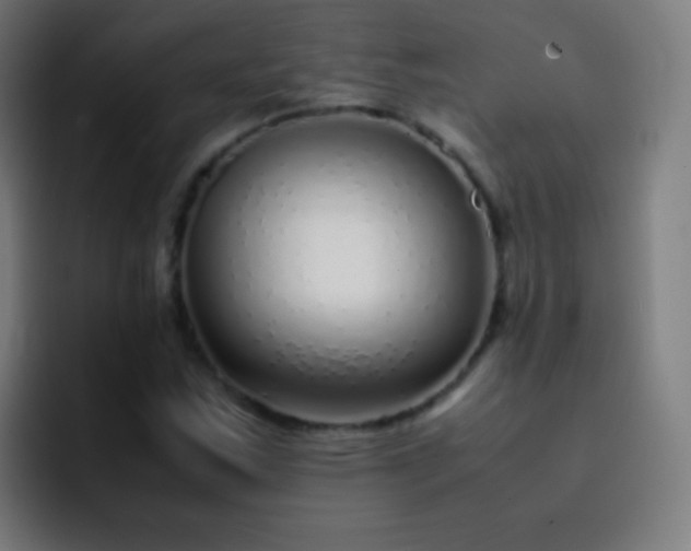 X0000093231163200710101358