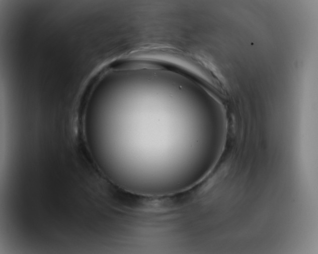 X0000093231165200710101358